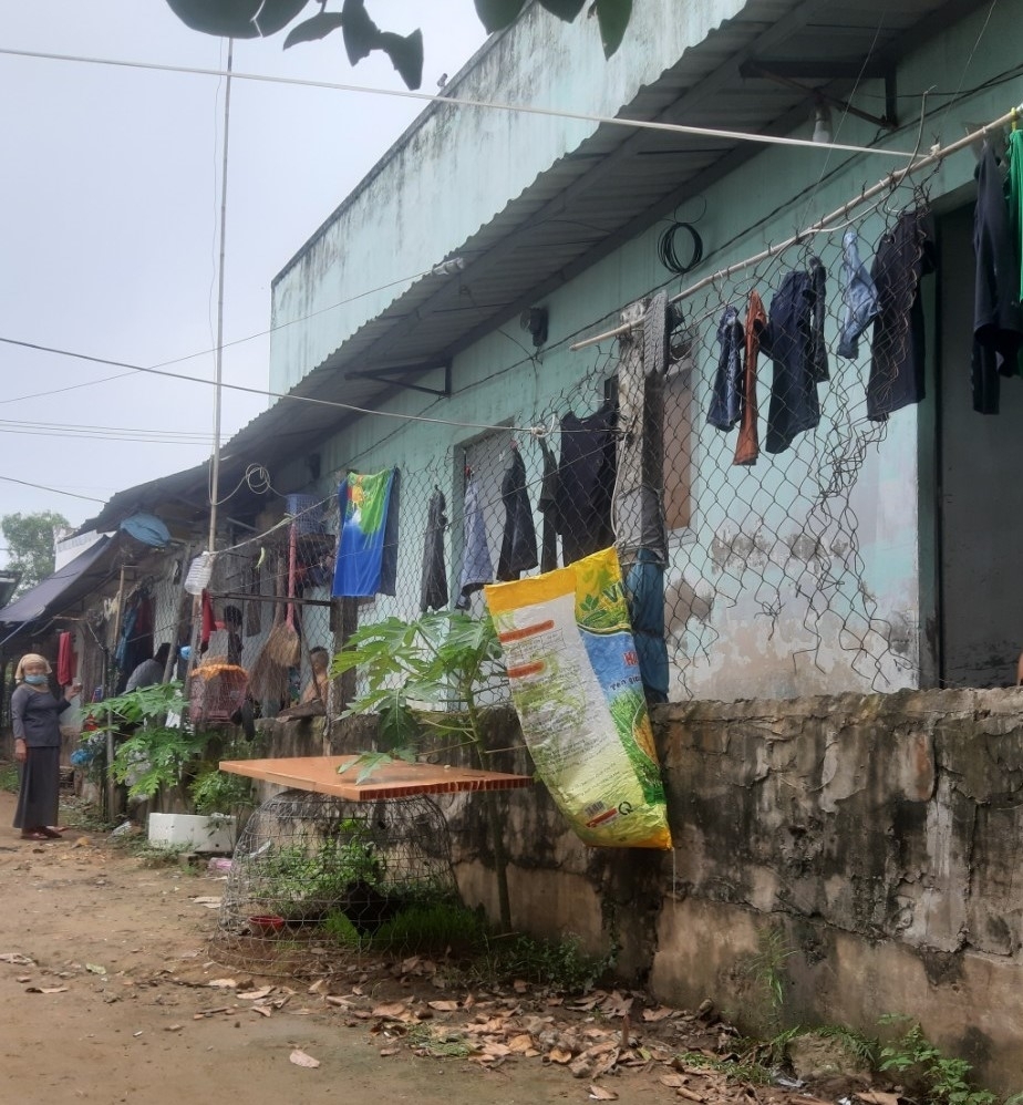 Phát triển đội tàu container cạnh tranh với hãng tàu nước ngoài Phát triển đội tàu container cạnh tranh với hãng tàu nước ngoài