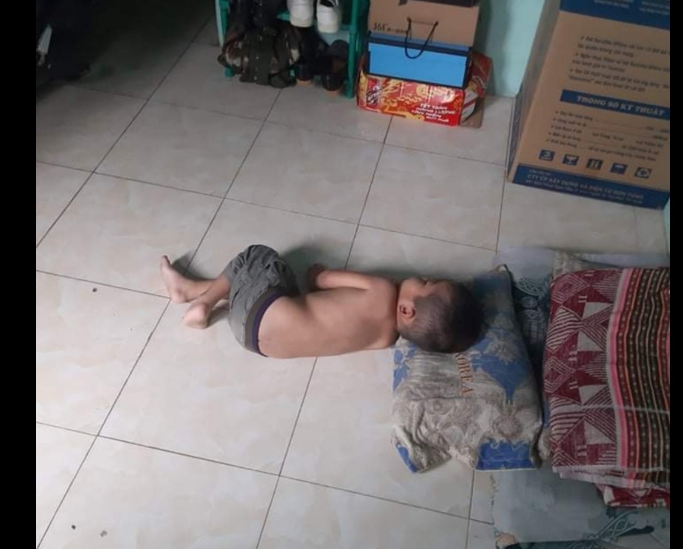 Phát triển đội tàu container cạnh tranh với hãng tàu nước ngoài Phát triển đội tàu container cạnh tranh với hãng tàu nước ngoài