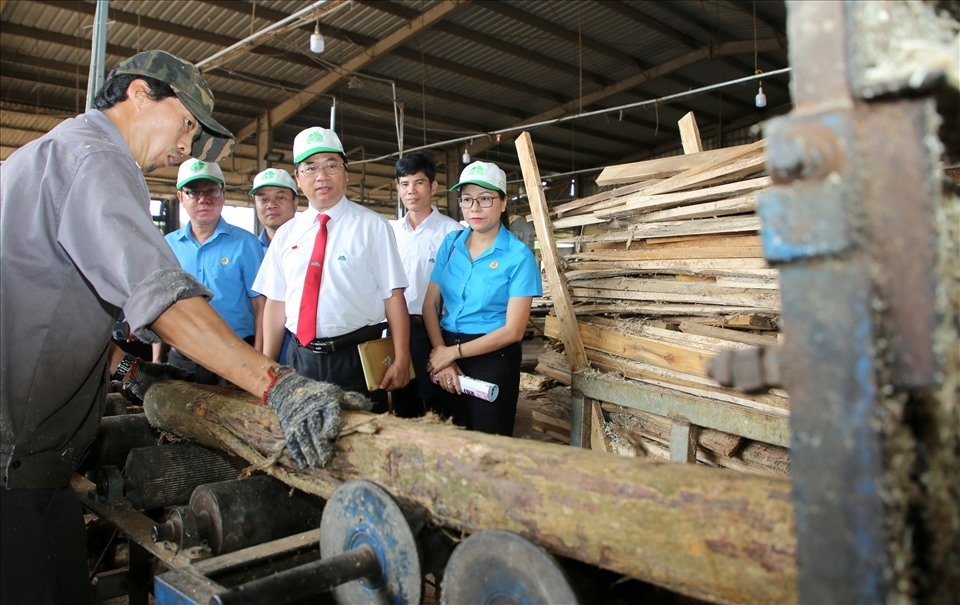 LĐLĐ tỉnh Quảng Trị: Những khởi sắc mới từ việc ký kết TƯLĐTT nhóm doanh nghiệp