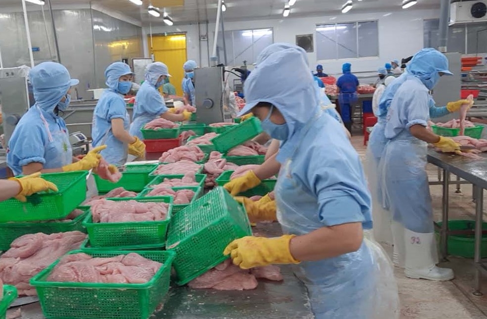 Hơn 2.600 công nhân lao động ở Cà Mau đã nhận được tiền hỗ trợ thuê nhà Hơn 2.600 công nhân lao động ở Cà Mau đã nhận được tiền hỗ trợ thuê nhà