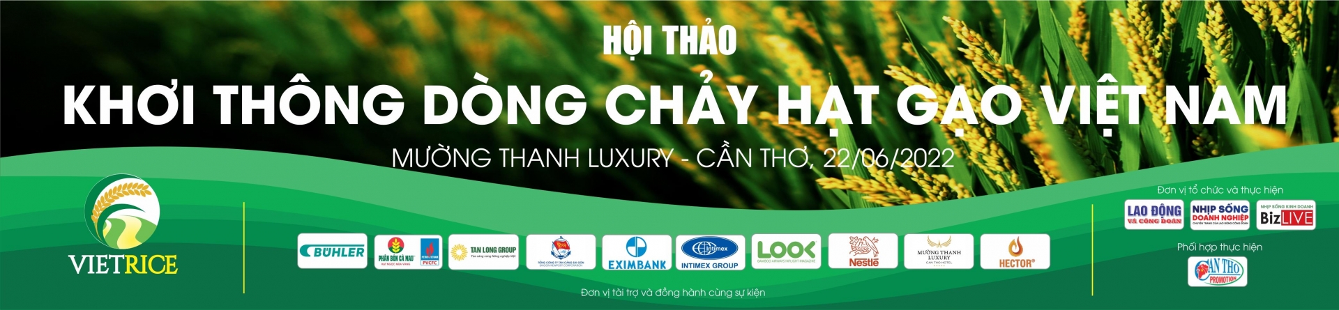 Đang diễn ra hội thảo "Khơi thông dòng chảy hạt gạo Việt Nam" Đang diễn ra hội thảo "Khơi thông dòng chảy hạt gạo Việt Nam"