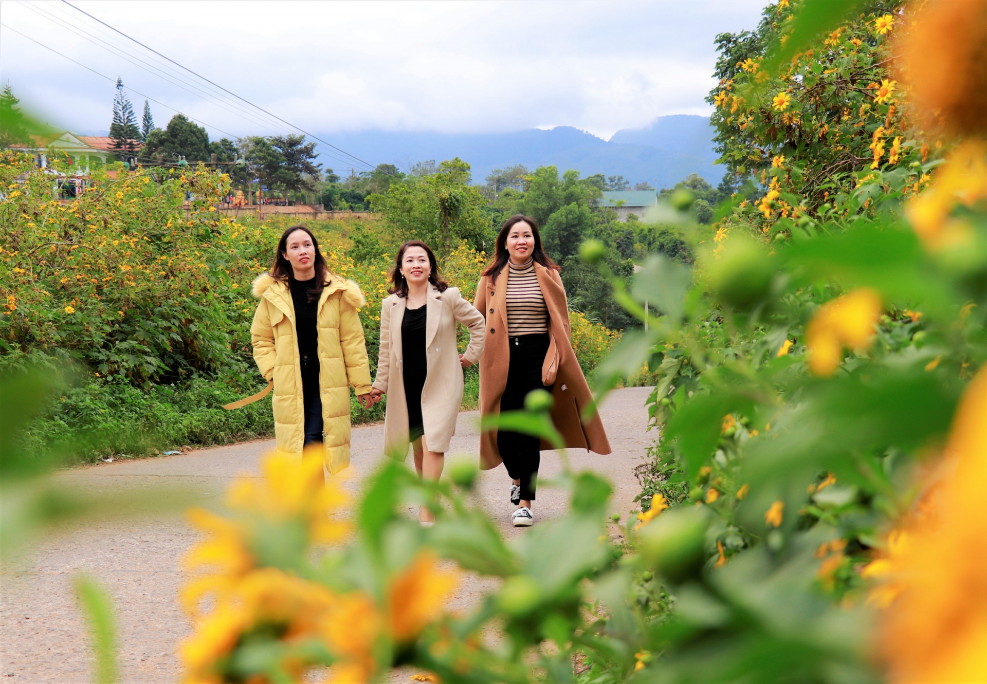 “Hồi sinh” du lịch trên EWEC