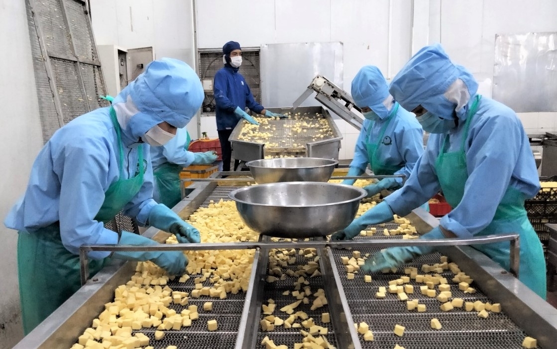 Doanh nghiệp ở Lâm Đồng: Quyết tâm tăng lương cho người lao động từ 1/7 Doanh nghiệp ở Lâm Đồng: Quyết tâm tăng lương cho người lao động từ 1/7