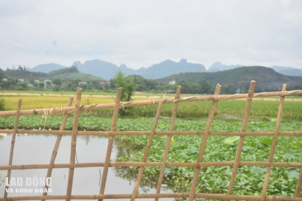 Huy động vốn ở Công ty Nhật Nam: Kỳ 3 - Sự thật về quỹ đất "giá trị lớn" Huy động vốn ở Công ty Nhật Nam: Kỳ 3 - Sự thật về quỹ đất "giá trị lớn"