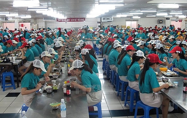 Nhu cầu dinh dưỡng để tái tạo sức lao động và duy trì sức khỏe