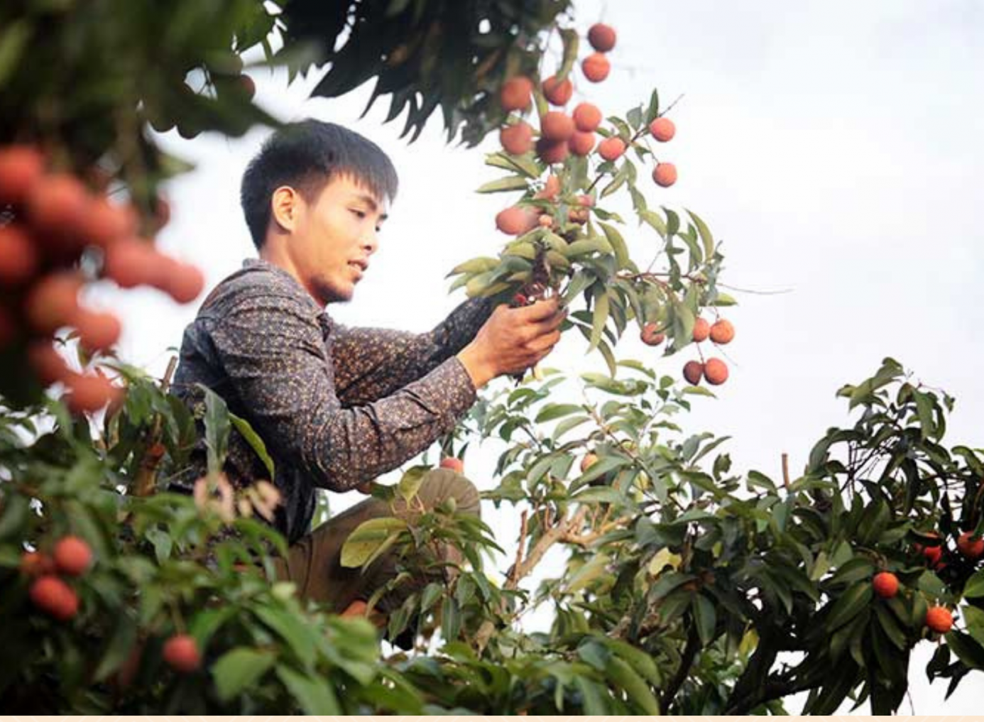 Công nhân bị đứt lìa tay có hoàn cảnh gia đình khó khăn Công nhân bị đứt lìa tay có hoàn cảnh gia đình khó khăn