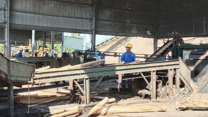 Khánh Hòa: Chuyển hồ sơ 36 đơn vị nợ BHXH cho cơ quan công an xử lý