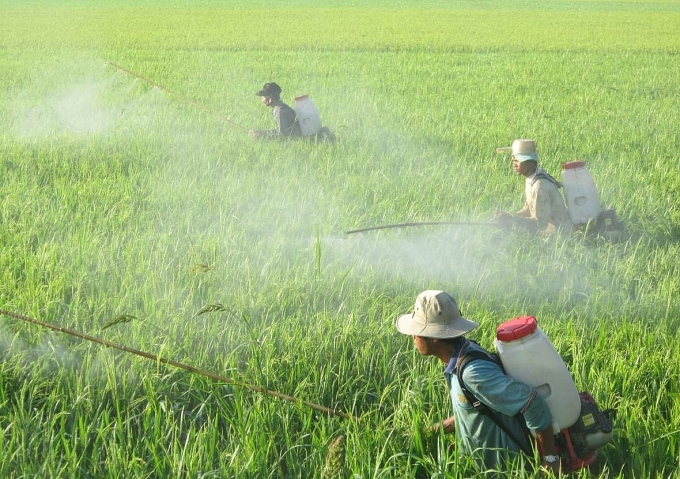 Giải pháp nào bảo đảm an toàn lao động trong lĩnh vực nông nghiệp?