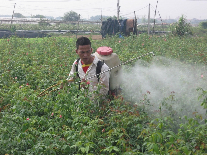 Giải pháp nào bảo đảm an toàn lao động trong lĩnh vực nông nghiệp?