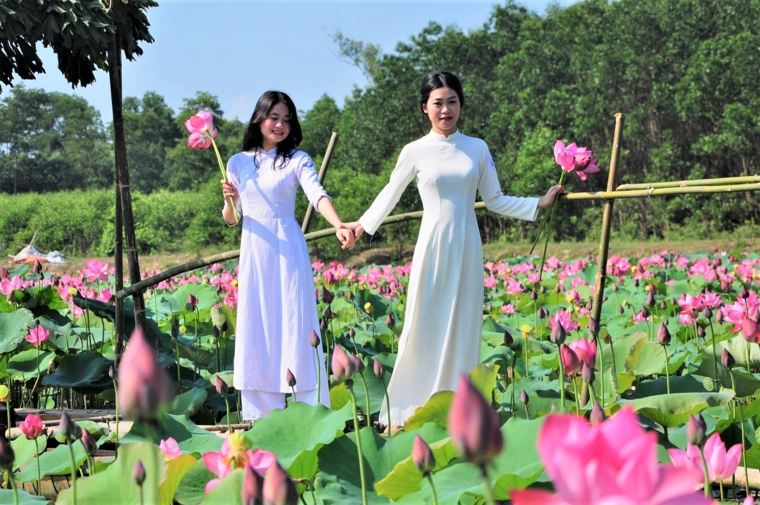 undefined Quảng Trị phấn đấu có thêm 4 huyện nông thôn mới vào năm 2025