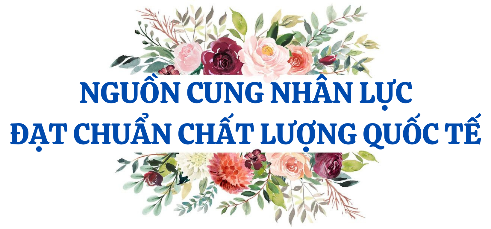 Trường Đại học Tôn Đức Thắng: Hành trình đến top 60 đại học tốt nhất châu Á Trường Đại học Tôn Đức Thắng: Hành trình đến top 60 đại học tốt nhất châu Á