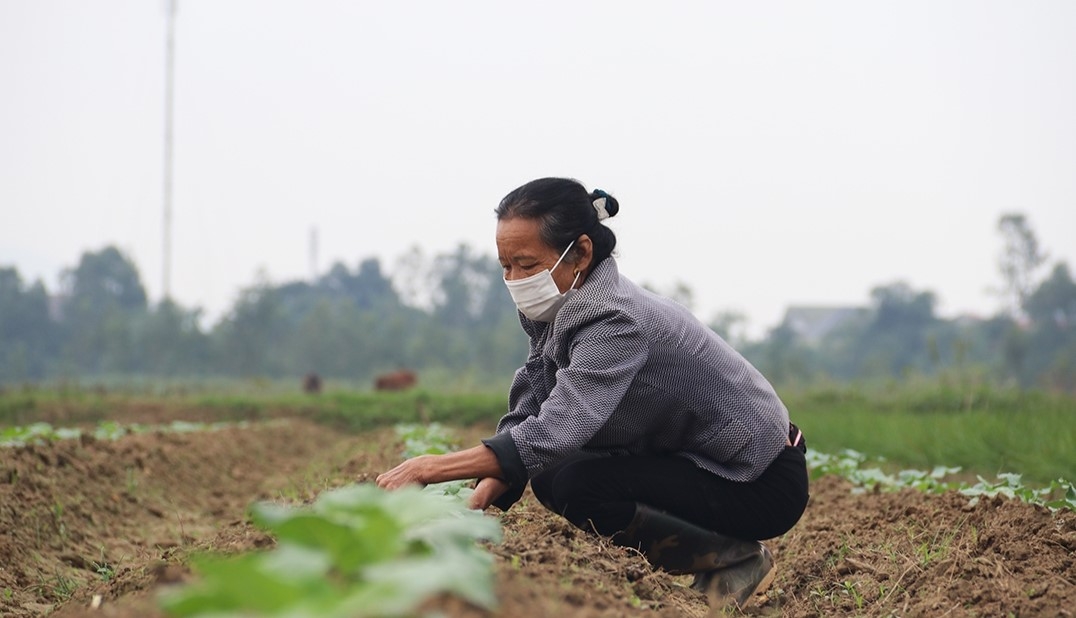 Rau siêu thị, rau chợ và bài toán lòng tin Rau siêu thị, rau chợ và bài toán lòng tin