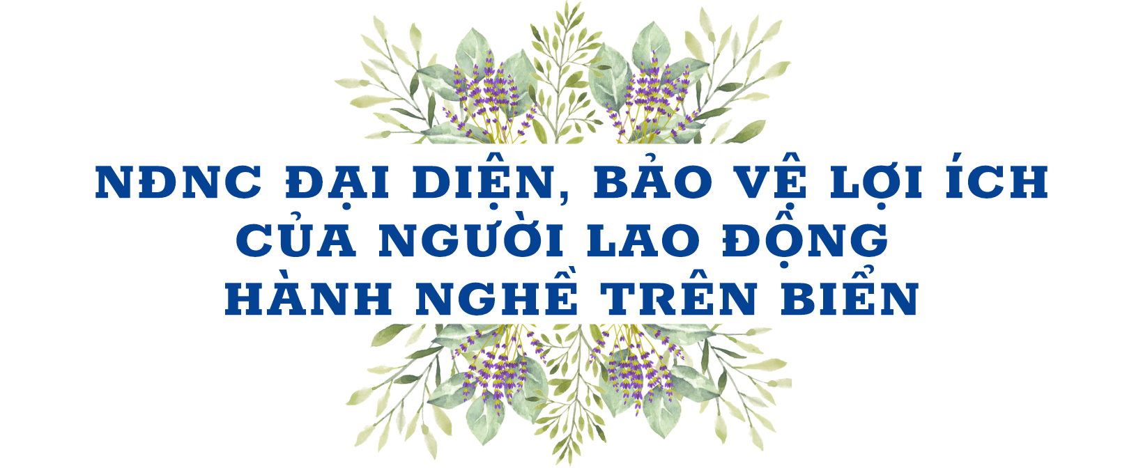 NNghiệp đoàn nghề cá đoàn kết ngư dân ra khơi, chia sẻ ngư trường và cơn hoạn nạn NNghiệp đoàn nghề cá đoàn kết ngư dân ra khơi, chia sẻ ngư trường và cơn hoạn nạn