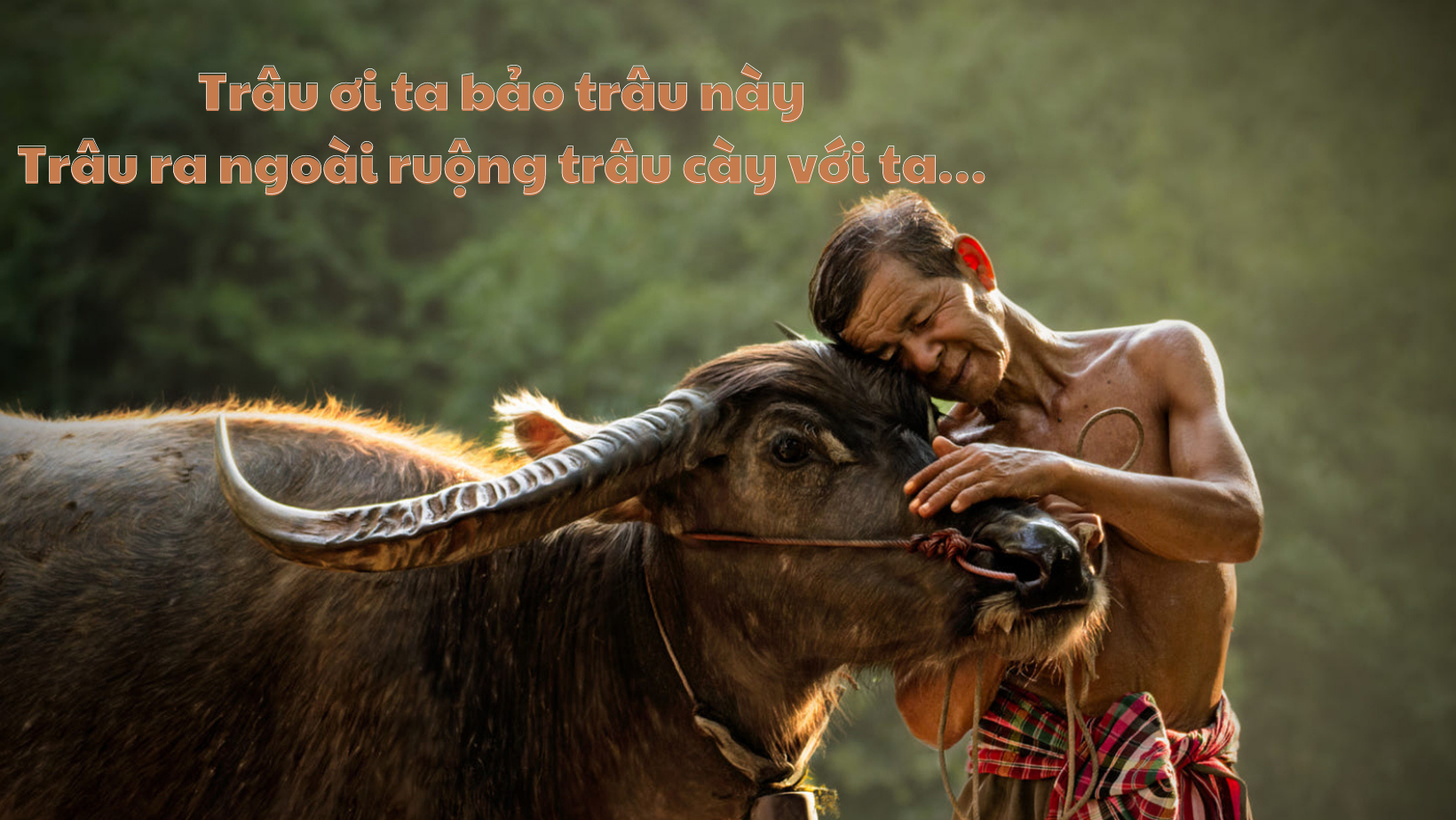 Vương vấn những món ăn từ thịt trâu Vương vấn những món ăn từ thịt trâu