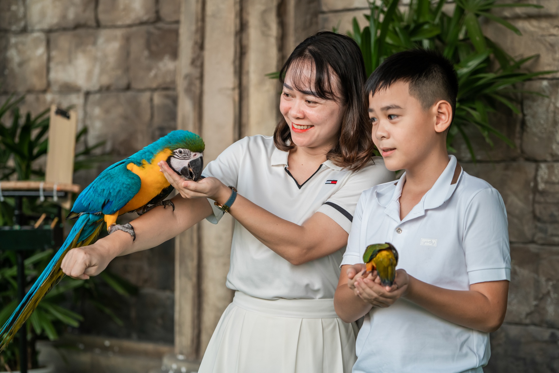 Show Vũ điệu chim trời lần đầu tiên có mặt ở Quảng Ninh Show Vũ điệu chim trời lần đầu tiên có mặt ở Quảng Ninh