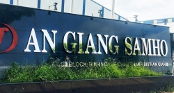 Nhanh chóng giải quyết cho hàng ngàn công nhân An Giang Samho mất việc dịp cuối năm