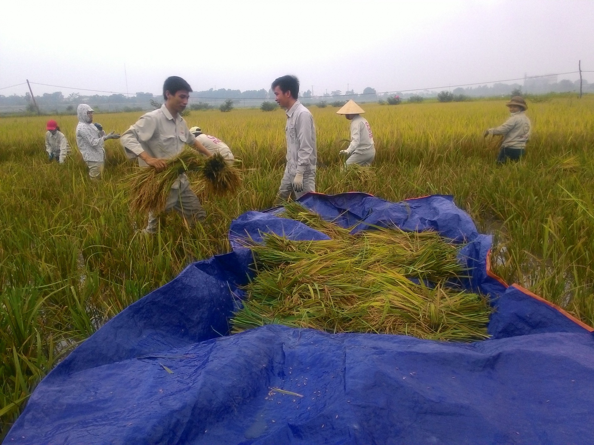 Điểm tựa cho người lao động - Bài 1: Những số phận đổi thay Điểm tựa cho người lao động - Bài 1: Những số phận đổi thay