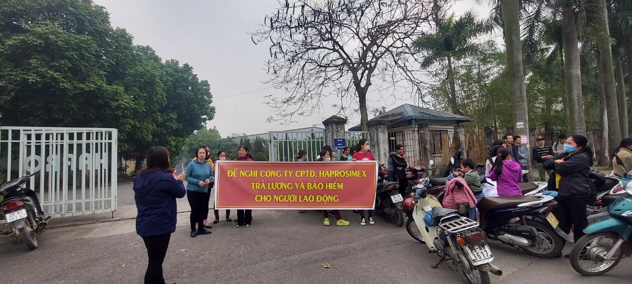 Công ty Haprosimex nợ lương, BHXH: Khoản nợ kéo qua các lần đổi chủ Công ty Haprosimex nợ lương, BHXH: Khoản nợ kéo qua các lần đổi chủ