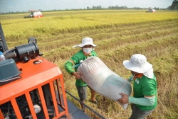 "Bà trùm" làng xuất khẩu gạo một thời bị rao bán món nợ nghìn tỷ