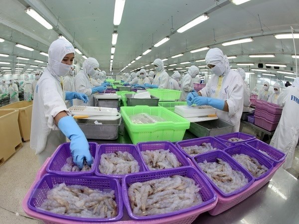 Công ty CP Thủy sản và Thương mại Thuận Phước tuyển lao động chế biến tôm xuất khẩu Công ty CP Thủy sản và Thương mại Thuận Phước tuyển lao động chế biến tôm xuất khẩu