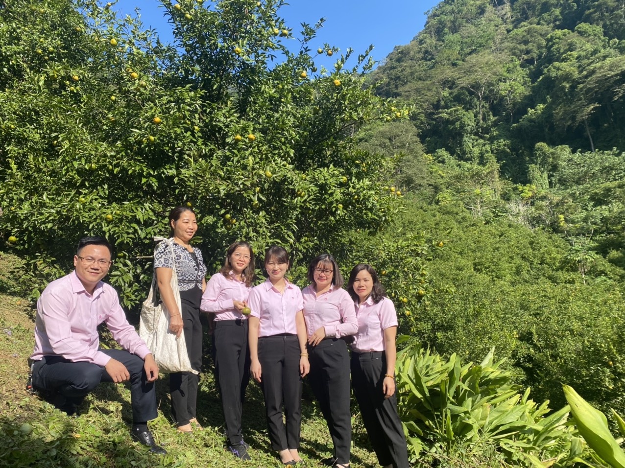 Chi nhánh Ngân hàng Chính sách xã hội tỉnh Bắc Kạn tuyển dụng lao động