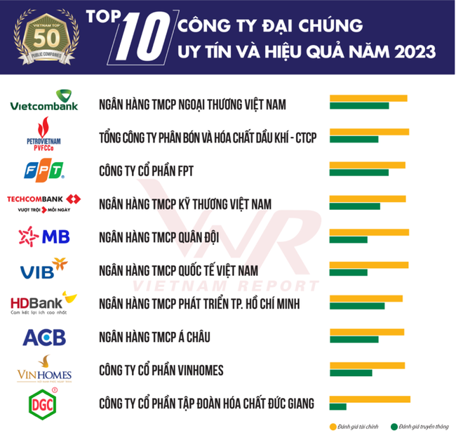 Top 10 công ty đại chúng hiệu quả nhất năm 2023: Ấn tượng HDBank Top 10 công ty đại chúng hiệu quả nhất năm 2023: Ấn tượng HDBank, Đạm Phú Mỹ và Hóa dầu Đức Giang ảnh 2
