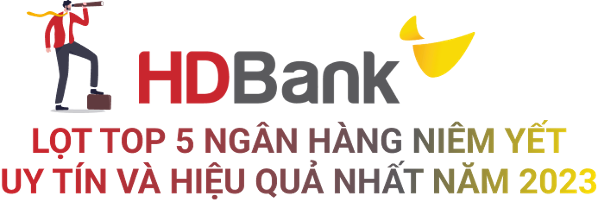 Top 10 công ty đại chúng hiệu quả nhất năm 2023: Ấn tượng HDBank Top 10 công ty đại chúng hiệu quả nhất năm 2023: Ấn tượng HDBank, Đạm Phú Mỹ và Hóa dầu Đức Giang ảnh 3