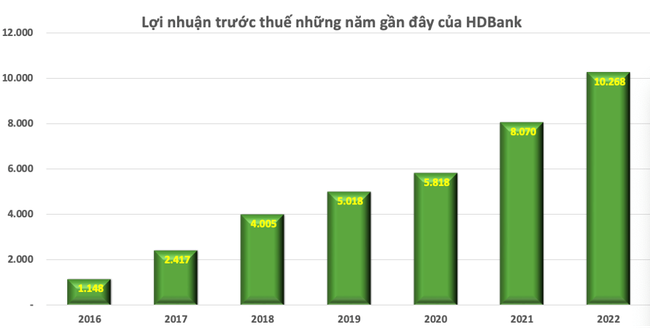 Top 10 công ty đại chúng hiệu quả nhất năm 2023: Ấn tượng HDBank Top 10 công ty đại chúng hiệu quả nhất năm 2023: Ấn tượng HDBank, Đạm Phú Mỹ và Hóa dầu Đức Giang ảnh 5