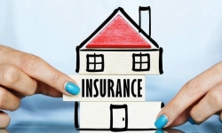Lộ diện 10 công ty bảo hiểm nhân uy tín năm 2023, Manulife Việt Nam rớt khỏi Top
