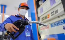 Giá xăng giảm mạnh gần 600 đồng/lít từ chiều nay 3/7
