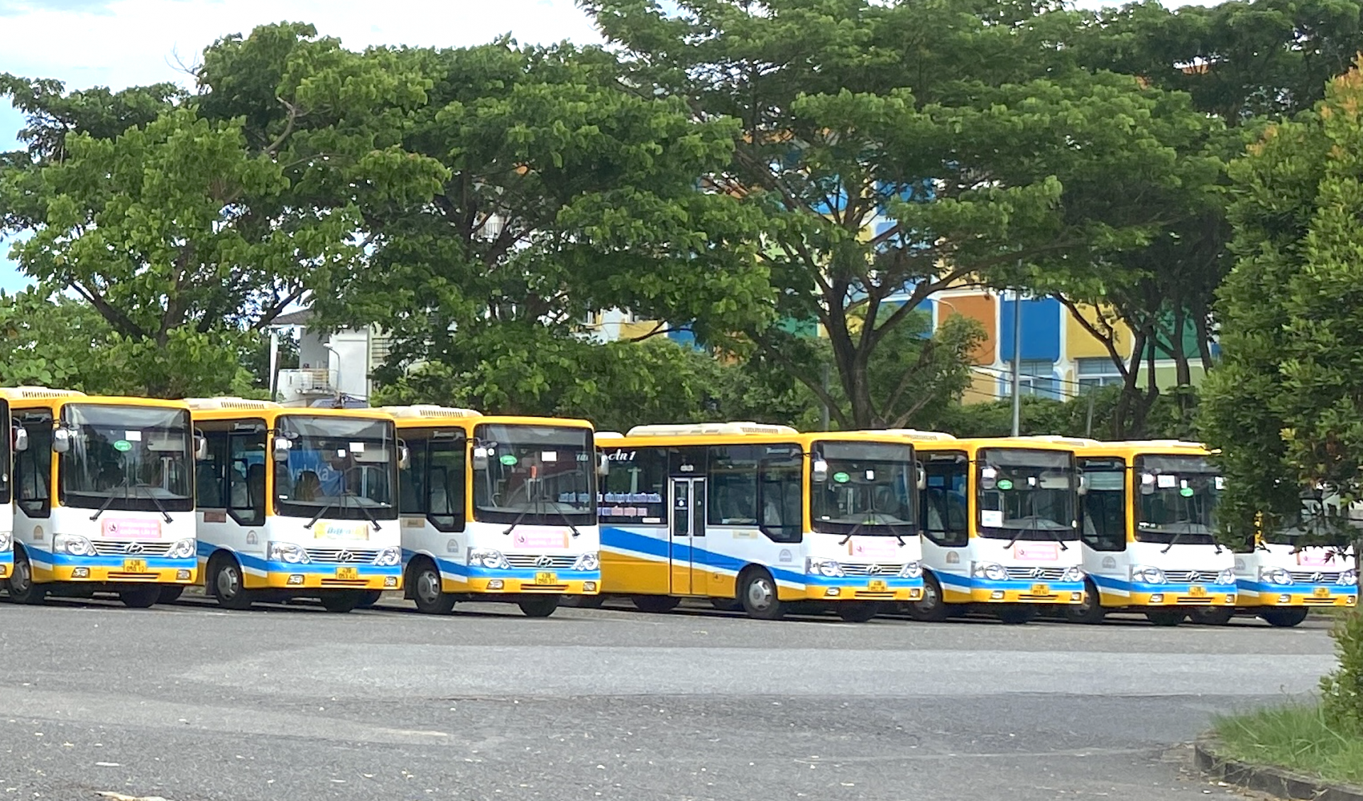 Bài 10: Datramac nói gì việc xe buýt dừng hoạt động do tài xế Quảng An 1 bị nợ lương?