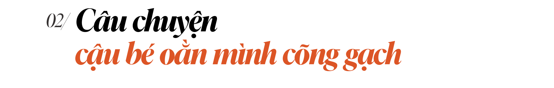 Những cuộc mưu cầu hạnh phúc Những cuộc mưu cầu hạnh phúc