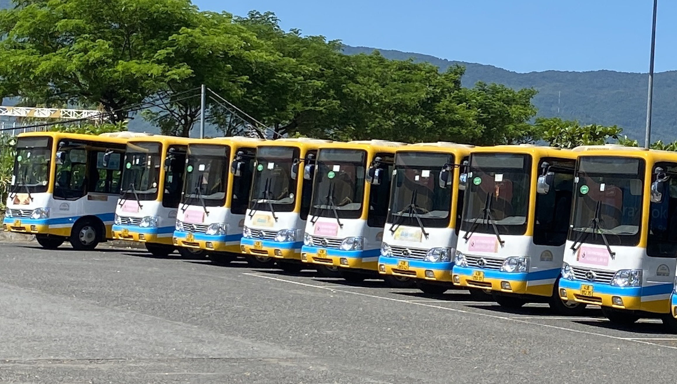Bài 14: Giám đốc Sở Lao động Đà Nẵng nói vụ Quảng An 1 không giải quyết dứt khoát được!
