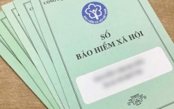 Hơn 82.000 doanh nghiệp chậm đóng bảo hiểm cho người lao động, đề nghị khởi tố một vài đơn vị