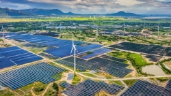 Mới có 18 dự án điện tái tạo chuyển tiếp đã phát hơn 952 MW lên lưới
