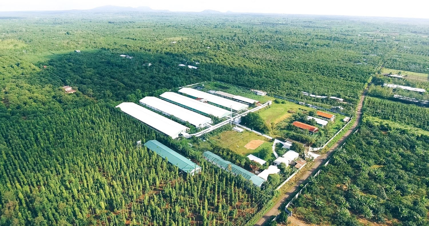 Nông nghiệp - nông thôn và các đô thị loại 2 chính là một trong các phân khúc chiến lược, có sức hấp thụ tín dụng tốt và đầy tiềm năng - Ảnh: VGP/LN Nông nghiệp - nông thôn và các đô thị loại 2 chính là một trong các phân khúc chiến lược, có sức hấp thụ tín dụng tốt và đầy tiềm năng - Ảnh: VGP/LN