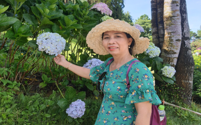 Trái tim hồng của người 