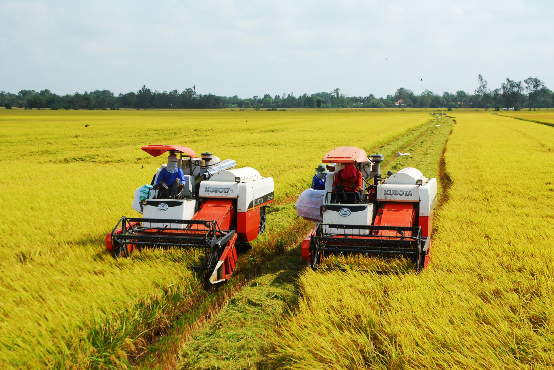 Đào tạo, chuyển đổi nghề cho 1,6 triệu lao động nông thôn ĐBSCL