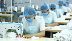 Lấy ý kiến tổ chức Công đoàn để chọn phương án nghỉ Tết Giáp Thìn 2024