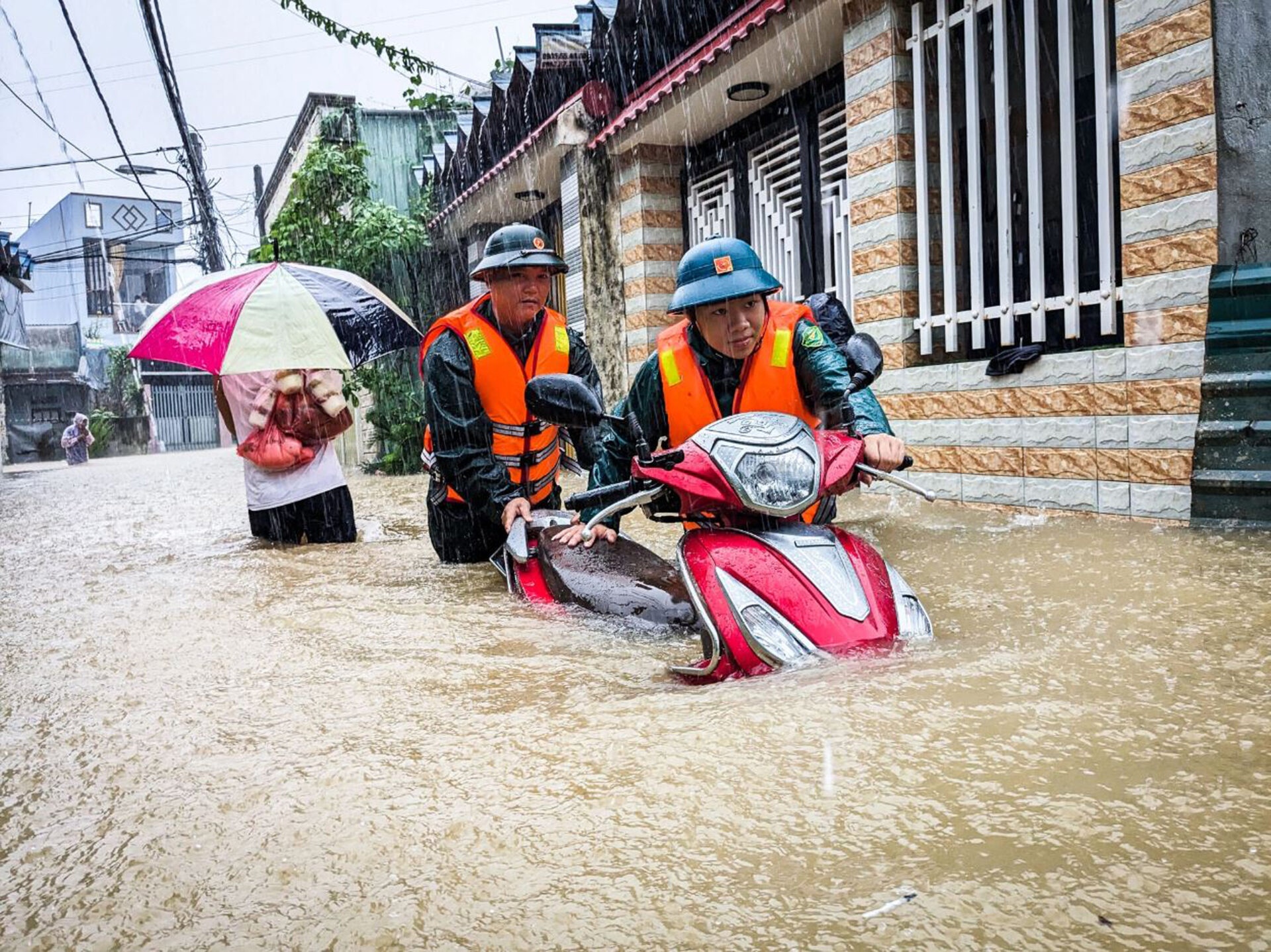 Tiền đổ xuống, cây phải mọc lên! Tiền đổ xuống, cây phải mọc lên!