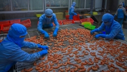 Những giọt mồ hôi thầm lặng