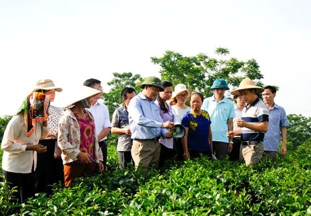 Đa dạng hóa sinh kế, tạo việc làm và xây dựng mô hình giảm nghèo bền vững