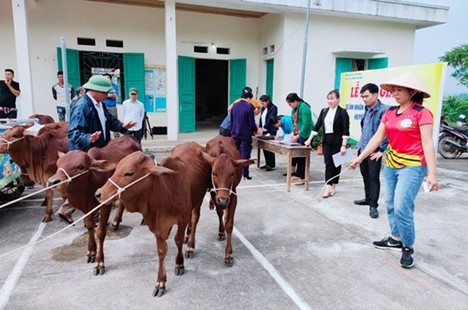 Đa dạng hóa sinh kế, tạo việc làm và xây dựng mô hình giảm nghèo bền vững
