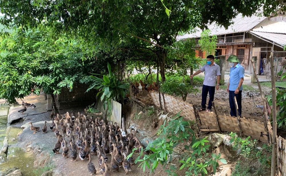 Thái Nguyên: Huyện Định Hóa thực hiện đồng bộ các giải pháp giảm nghèo bền vững