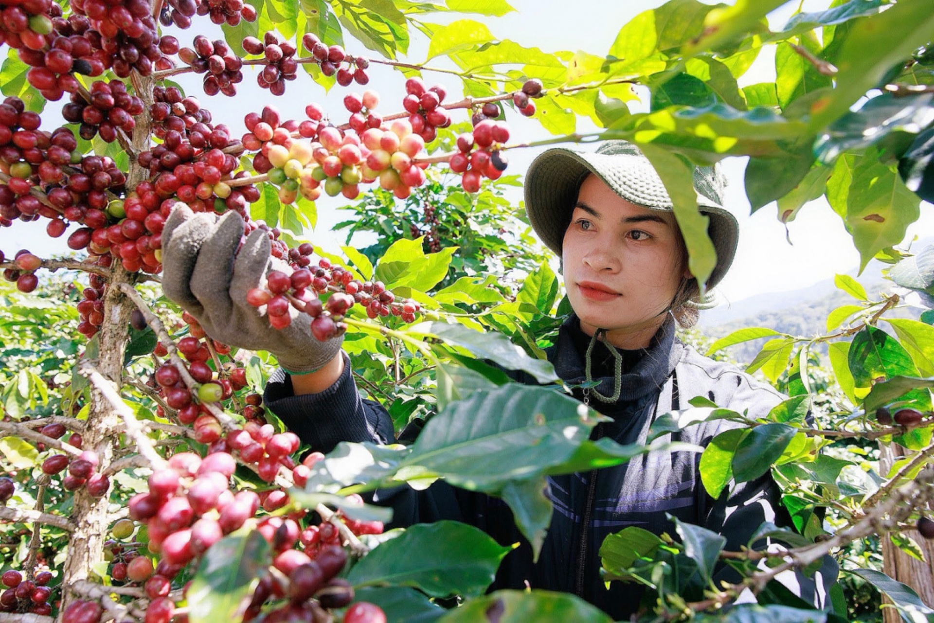 Học hỏi, đưa những cải tiến vào sản xuất