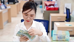 Lãi suất huy động năm 2024 sẽ diễn biến thế nào?