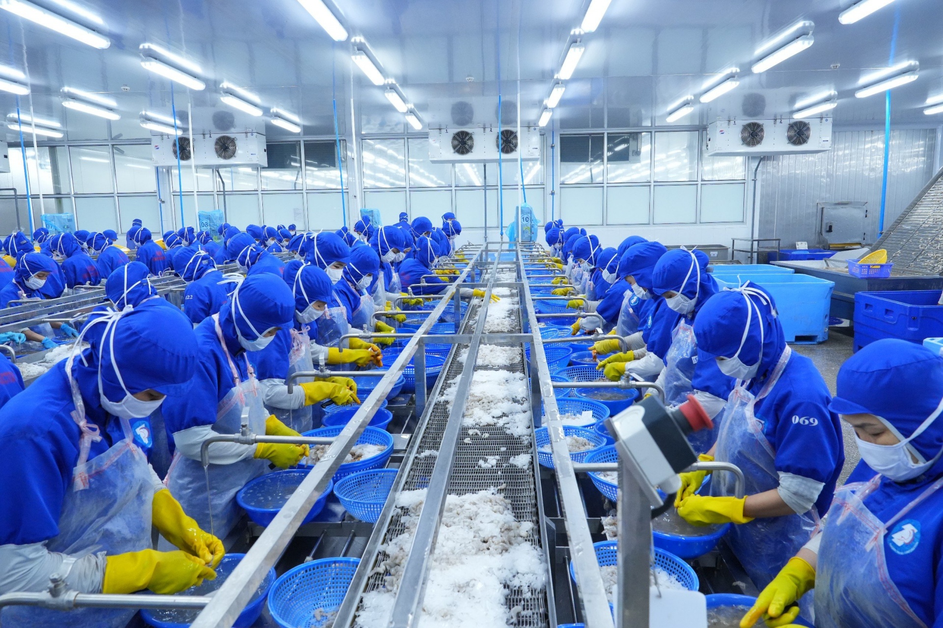 Công ty Thủy sản và Thương mại Thuận Phước tuyển hơn 500 lao động, thu nhập cao Công ty Thủy sản và Thương mại Thuận Phước tuyển hơn 500 lao động, thu nhập cao
