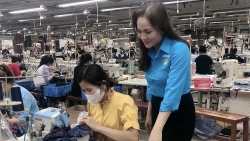 Cán bộ Công đoàn nên làm gì trong quá trình tinh giản biên chế: Vững vai - Sáng tâm - Đổi mới hành động