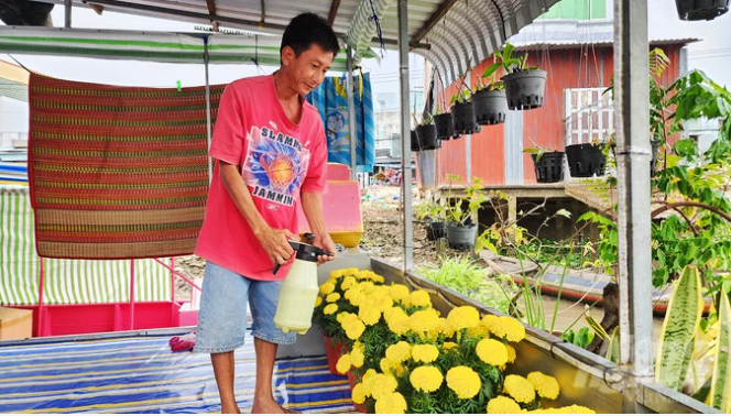 Chông chênh chợ nổi vào Xuân Chông chênh chợ nổi vào Xuân