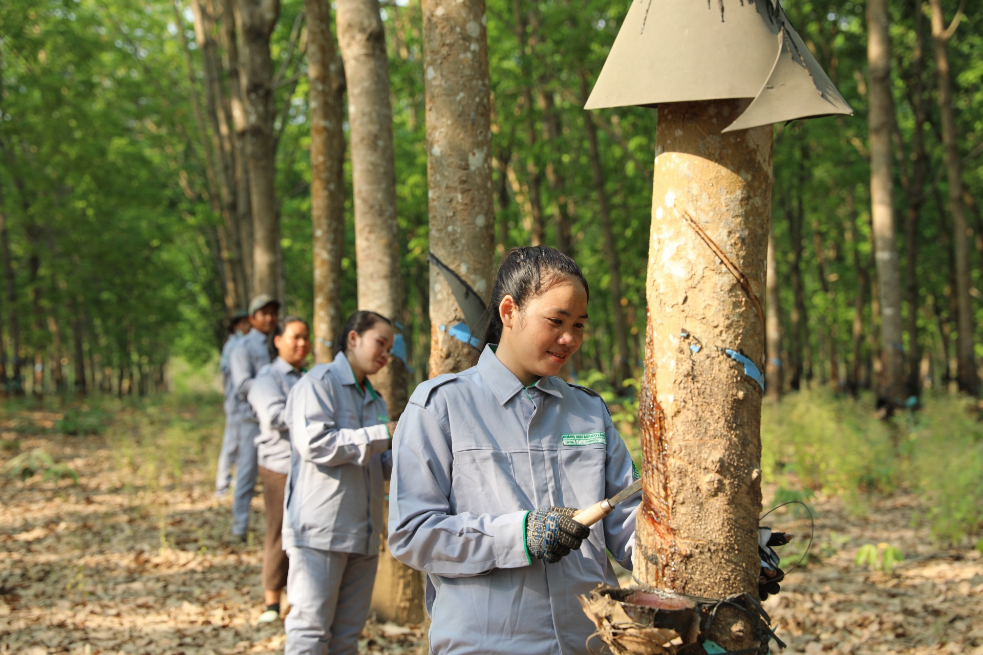 THACO AGRI đẩy mạnh tuyển dụng công nhân tại các địa phương thuộc Lào, Campuchia. THACO AGRI đẩy mạnh tuyển dụng công nhân tại các địa phương thuộc Lào, Campuchia.